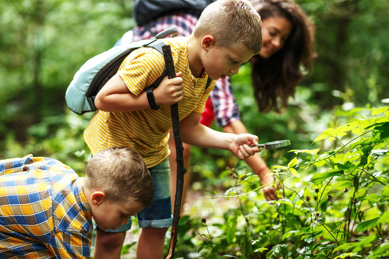 Aventure et expérience pendant les vacances - réalisation garantie !